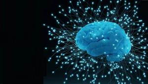 Memory, Trauma and Recovery