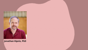 Anatomy & immune functions of brain clearance