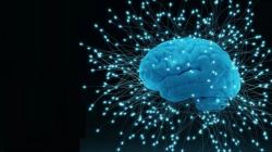 Scientific bedlam at the world’s weirdest and wildest research conference