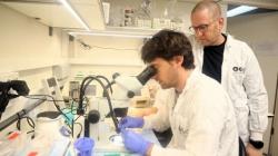 Biological mechanism the boosts myelin production in the brain could aid treatments for neurological disorders