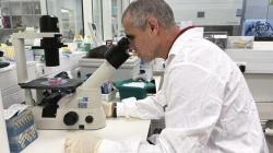 Israeli breakthrough: first human spinal cord repair using patient’s own cells